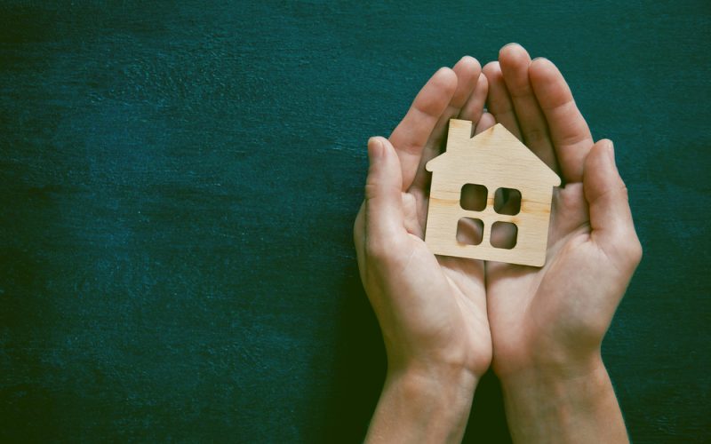 Person holding a wooden house in their hands